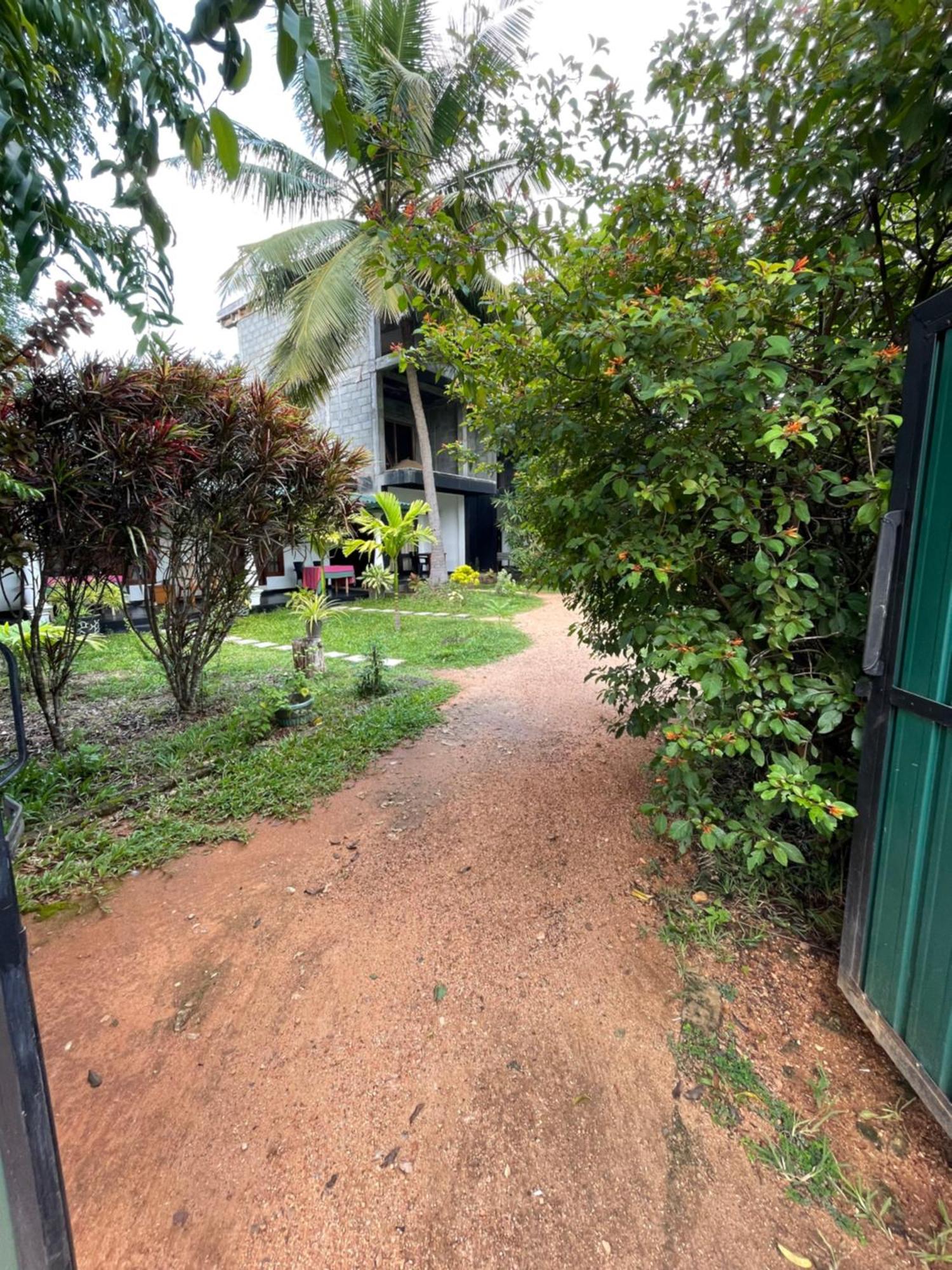 Sigiri Shen Residence Sigiriya Exterior photo