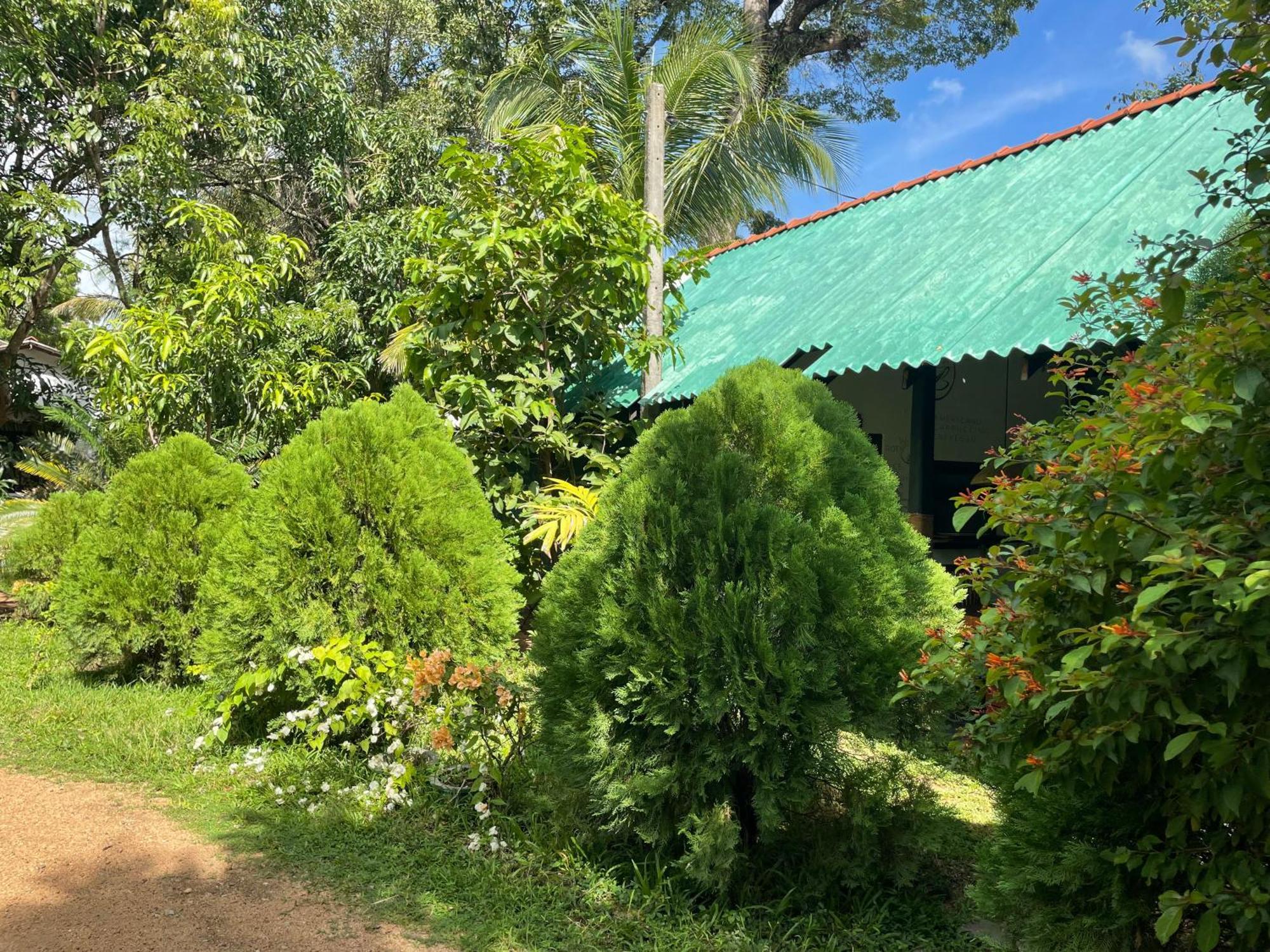 Sigiri Shen Residence Sigiriya Exterior photo
